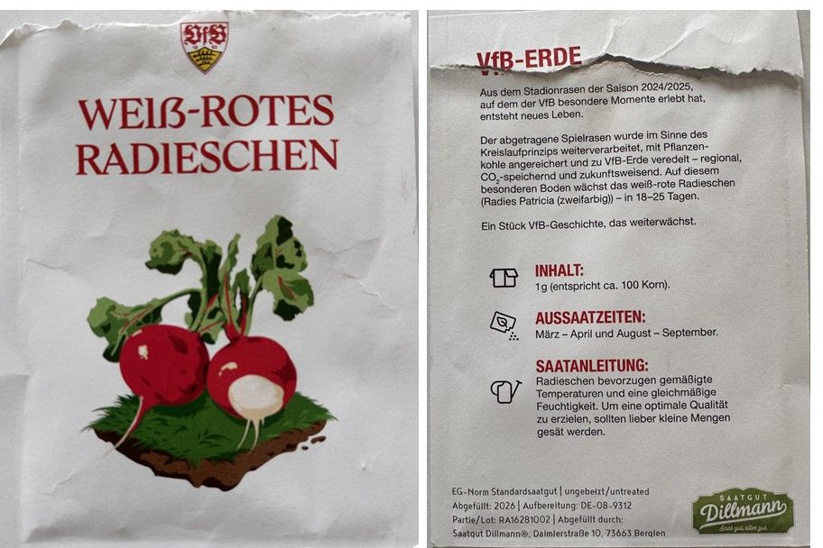 VfB-Radieschen weiß-rot